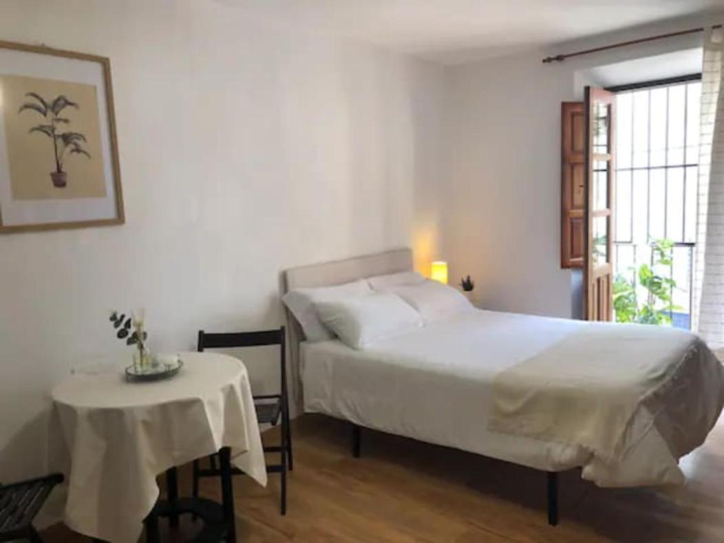 Apartamento Completo Reformado En Arco De Elvira - Centro グラナダ エクステリア 写真