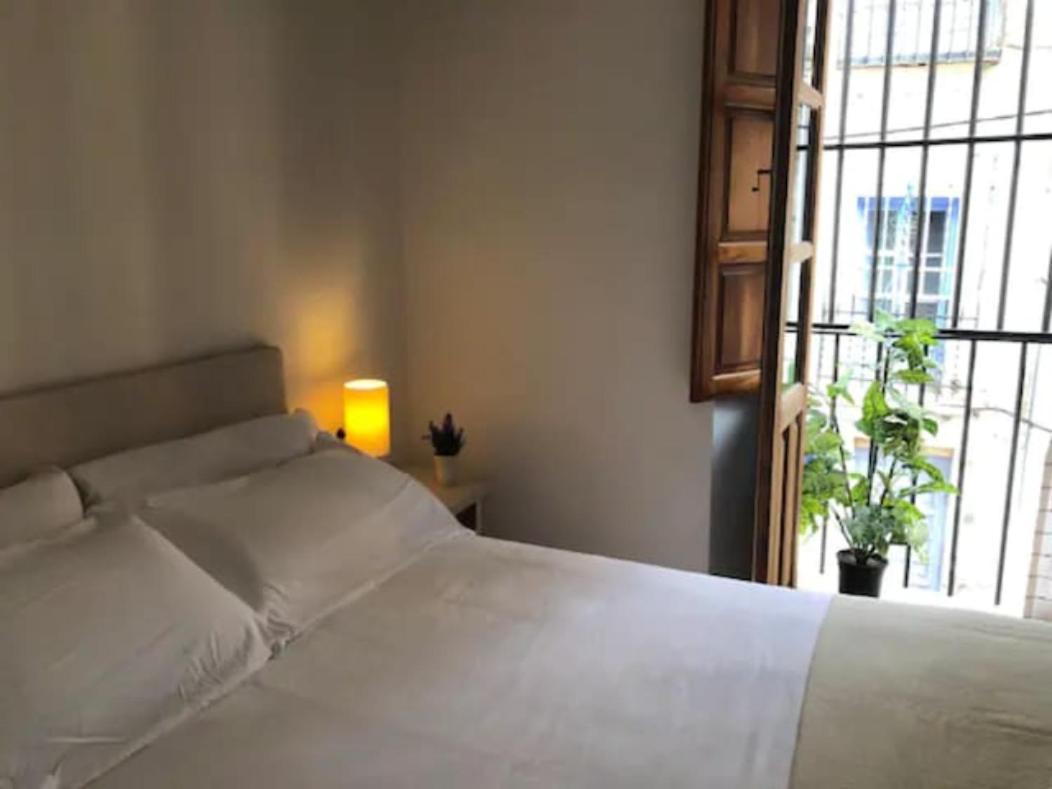 Apartamento Completo Reformado En Arco De Elvira - Centro グラナダ エクステリア 写真